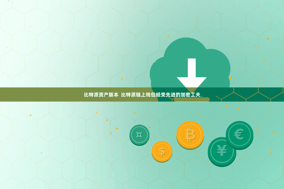 比特派资产版本 比特派链上钱包经受先进的加密工夫