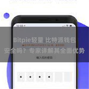 Bitpie轻量 比特派钱包安全吗？专家详解其全面优势