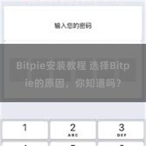 Bitpie安装教程 选择Bitpie的原因，你知道吗？