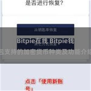 Bitpie在线 Bitpie钱包支持的加密货币种类及功能介绍