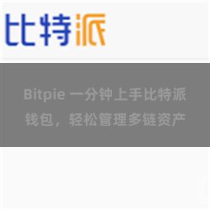 Bitpie 一分钟上手比特派钱包，轻松管理多链资产