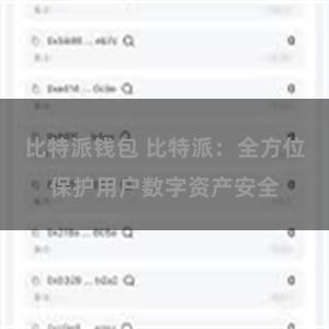 比特派钱包 比特派：全方位保护用户数字资产安全