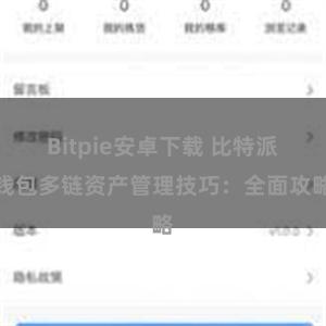 Bitpie安卓下载 比特派钱包多链资产管理技巧：全面攻略