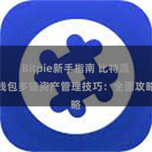 Bitpie新手指南 比特派钱包多链资产管理技巧：全面攻略