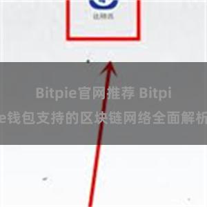 Bitpie官网推荐 Bitpie钱包支持的区块链网络全面解析