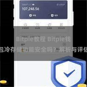 Bitpie教程 Bitpie钱包冷存储功能安全吗？解析与评估