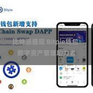 比特派提现 Bitpie钱包：数字资产管理助力者