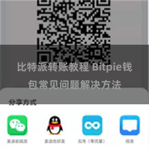 比特派转账教程 Bitpie钱包常见问题解决方法