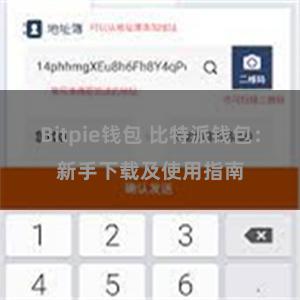 Bitpie钱包 比特派钱包：新手下载及使用指南