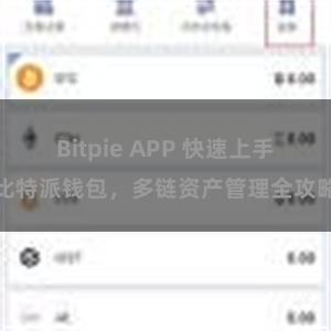 Bitpie APP 快速上手比特派钱包，多链资产管理全攻略