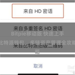 Bitpie移动版 快速上手比特派钱包，多链资产管理全攻略