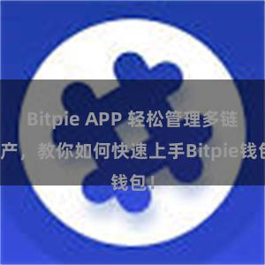 Bitpie APP 轻松管理多链资产，教你如何快速上手Bitpie钱包！