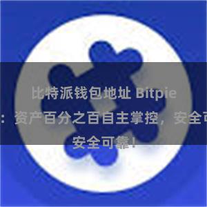 比特派钱包地址 Bitpie钱包：资产百分之百自主掌控，安全可靠！