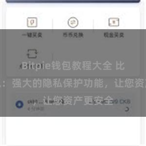 Bitpie钱包教程大全 比特派钱包：强大的隐私保护功能，让您资产更安全