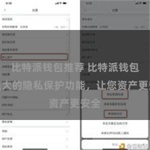 比特派钱包推荐 比特派钱包：强大的隐私保护功能，让您资产更安全