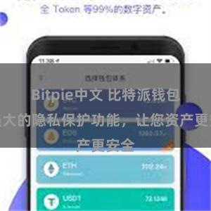 Bitpie中文 比特派钱包：强大的隐私保护功能，让您资产更安全