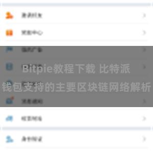 Bitpie教程下载 比特派钱包支持的主要区块链网络解析