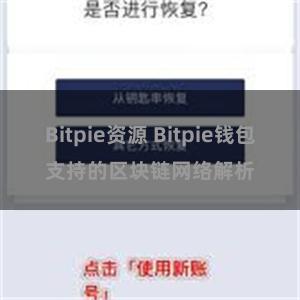 Bitpie资源 Bitpie钱包支持的区块链网络解析