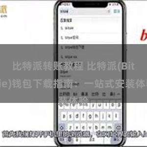 比特派转账教程 比特派(Bitpie)钱包下载指南：一站式安装体验