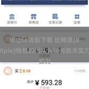 Bitpie钱包下载 比特派(Bitpie)钱包的团队背景与技术实力