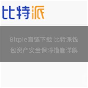 Bitpie直链下载 比特派钱包资产安全保障措施详解