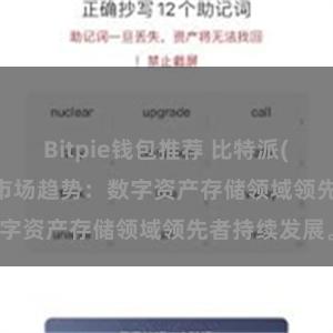 Bitpie钱包推荐 比特派(Bitpie)钱包市场趋势：数字资产存储领域领先者持续发展。