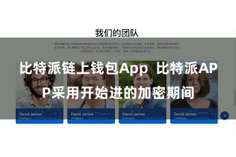 比特派链上钱包App  比特派APP采用开始进的加密期间